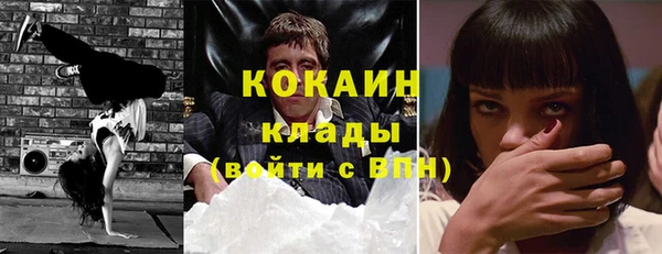 твердый Алексин