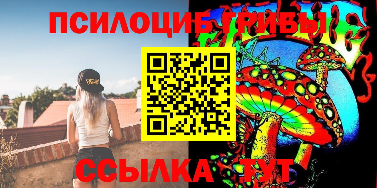 Псилоцибиновые грибы Cubensis  Вход с VPN  Кореновск 